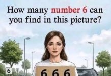 How many number 6 can you find in this picture?