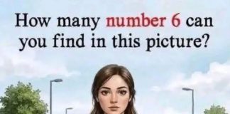 How many number 6 can you find in this picture?