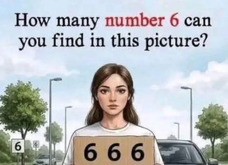 How many number 6 can you find in this picture?