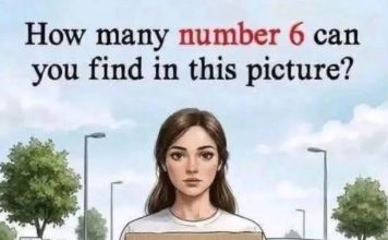 How many number 6 can you find in this picture?