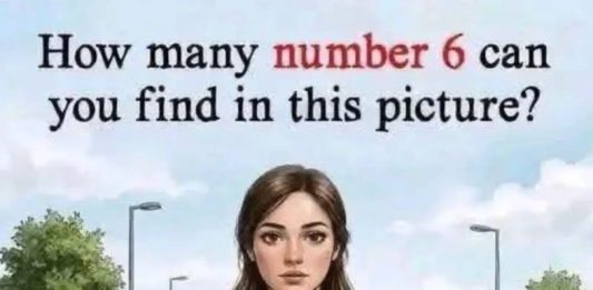 How many number 6 can you find in this picture?