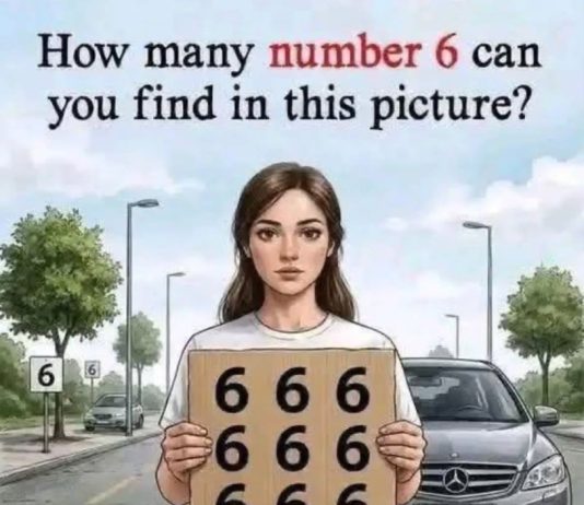 How many number 6 can you find in this picture?