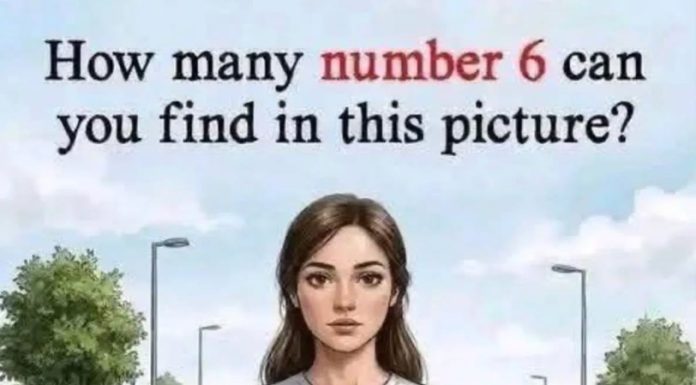 How many number 6 can you find in this picture?