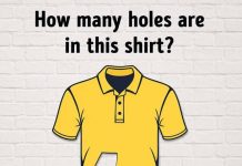 How many holes are in this shirt?
