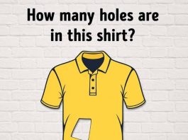 How many holes are in this shirt?