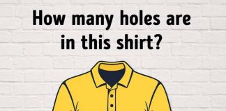How many holes are in this shirt?