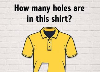 How many holes are in this shirt?
