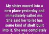 What It Is And Why There’s A Strange Shelf Inside Some Toilets