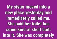 What It Is And Why There’s A Strange Shelf Inside Some Toilets