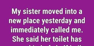 What It Is And Why There’s A Strange Shelf Inside Some Toilets