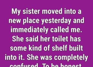 What It Is And Why There’s A Strange Shelf Inside Some Toilets