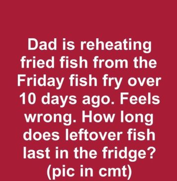 Dad is reheating fried fish from the Friday fish fry over 10 days ago. Feels wrong. How long does leftover fish last in the fridge?