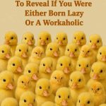 Count The Real Chicken To Reveal If You Were Either Born Lazy Or A Workaholic