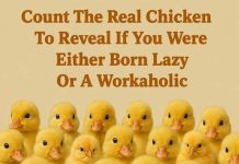 Count The Real Chicken To Reveal If You Were Either Born Lazy Or A Workaholic