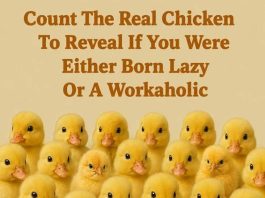 Count The Real Chicken To Reveal If You Were Either Born Lazy Or A Workaholic