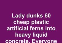 Lady dunks 60 cheap plastic artificial ferns into heavy liquid concrete. Everyone is copying this idea for their front yard!