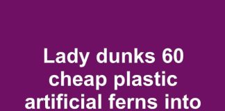 Lady dunks 60 cheap plastic artificial ferns into heavy liquid concrete. Everyone is copying this idea for their front yard!