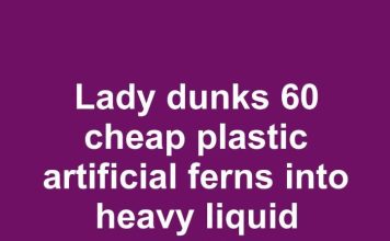 Lady dunks 60 cheap plastic artificial ferns into heavy liquid concrete. Everyone is copying this idea for their front yard!