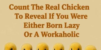 Count The Real Chicken To Reveal If You Were Either Born Lazy Or A Workaholic