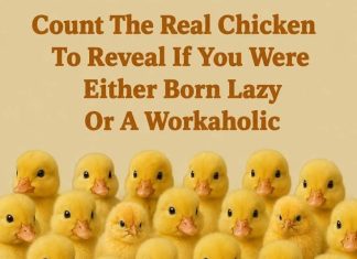 Count The Real Chicken To Reveal If You Were Either Born Lazy Or A Workaholic