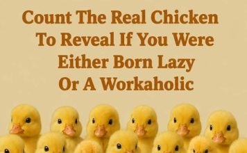 Count The Real Chicken To Reveal If You Were Either Born Lazy Or A Workaholic