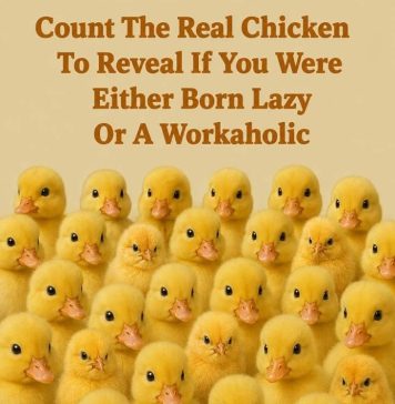 Count The Real Chicken To Reveal If You Were Either Born Lazy Or A Workaholic