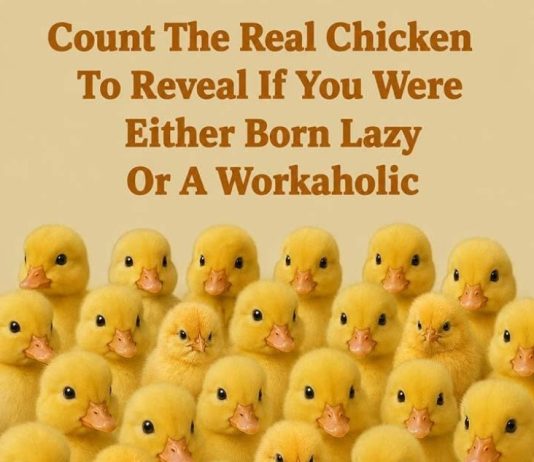 Count The Real Chicken To Reveal If You Were Either Born Lazy Or A Workaholic
