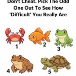 Pick the odd one out to see how DIFFICULT you realy are.