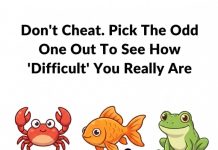 Pick the odd one out to see how DIFFICULT you realy are.