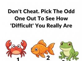 Pick the odd one out to see how DIFFICULT you realy are.