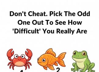 Pick the odd one out to see how DIFFICULT you realy are.