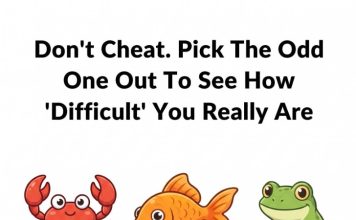 Pick the odd one out to see how DIFFICULT you realy are.