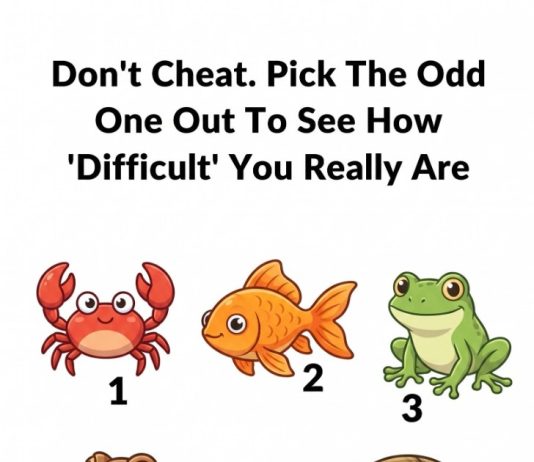 Pick the odd one out to see how DIFFICULT you realy are.