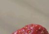 Tiny White Worms in Strawberries? Here’s What They Really Are and Whether Your Berries Are Safe to Eat