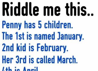 RIDDLE: “PENNY HAS 5 CHILDREN” – CAN YOU SOLVE IT?