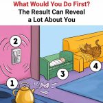 What Would You Do First? The Result Can Reveal a Lot About You