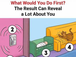 What Would You Do First? The Result Can Reveal a Lot About You
