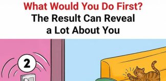 What Would You Do First? The Result Can Reveal a Lot About You