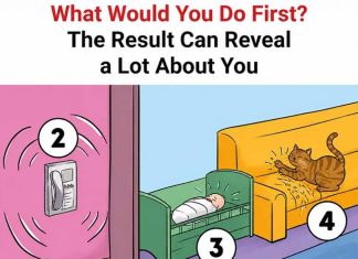 What Would You Do First? The Result Can Reveal a Lot About You
