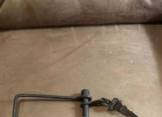 Can You Identify This Brass Beauty?