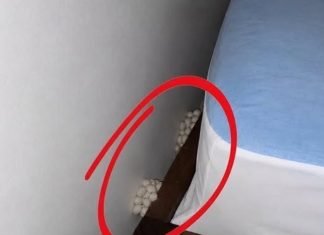 I arrived home exhausted, hoping for a quiet night, but one detail made me realize that something was wrong.