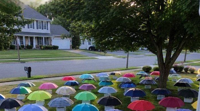 MY SON GAVE HIS UMBRELLA TO A PREGNANT WOMAN IN THE RAIN. WHAT HAPPENED NEXT CHANGED OUR LIVES FOREVER