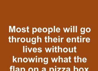 Most people will go through their entire lives without knowing what the flap on a pizza box container actually can do