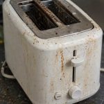 Your Toaster Is Grosser Than You Think