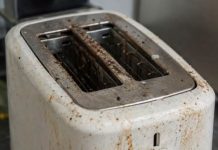 Your Toaster Is Grosser Than You Think