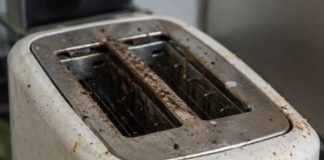 Your Toaster Is Grosser Than You Think