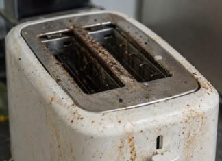 Your Toaster Is Grosser Than You Think