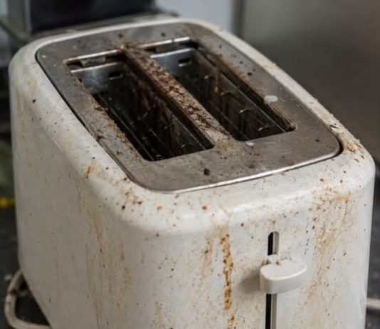 Your Toaster Is Grosser Than You Think