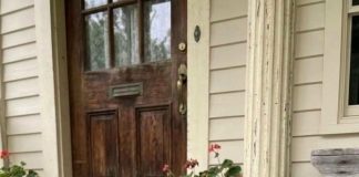 This morning, I stepped out onto the porch to get some fresh air and discovered this. Honestly, at first, I was really scared.