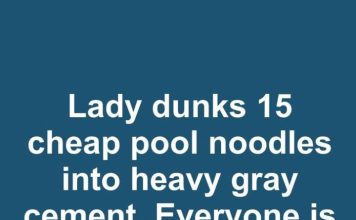 Lady dunks 15 cheap pool noodles into heavy gray cement. Everyone is copying this idea for their patio!